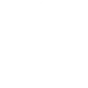 Logo de la Boucherie Vigne & Fils à Montélimar, artisan boucher charcutier depuis 1976