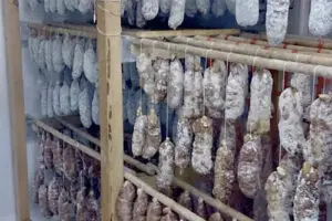Saucissons en cours de séchage dans l’atelier de la Charcuterie Vigne & Fils à Montélimar