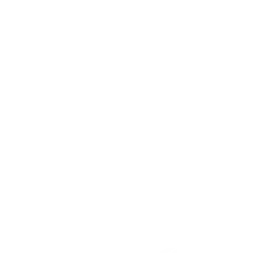 Logo de la Boucherie Vigne & Fils à Montélimar, artisan boucher charcutier depuis 1976